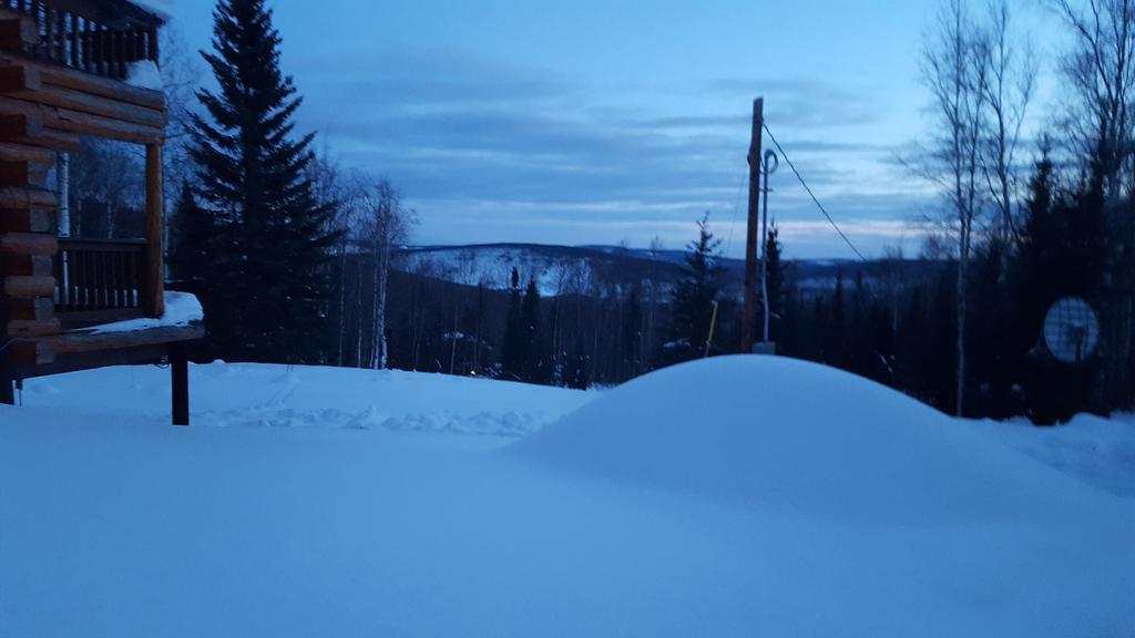 Wildmoon Home Fairbanks Zewnętrze zdjęcie
