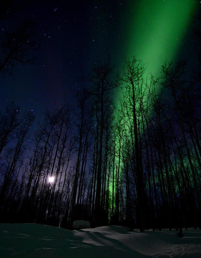 Wildmoon Home Fairbanks Zewnętrze zdjęcie