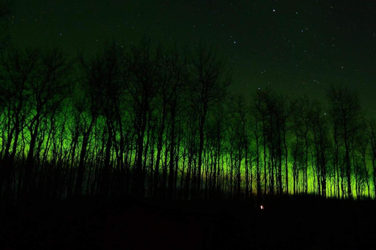 Wildmoon Home Fairbanks Zewnętrze zdjęcie